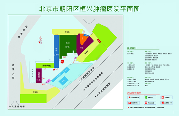 操欧美大肥逼北京市朝阳区桓兴肿瘤医院平面图